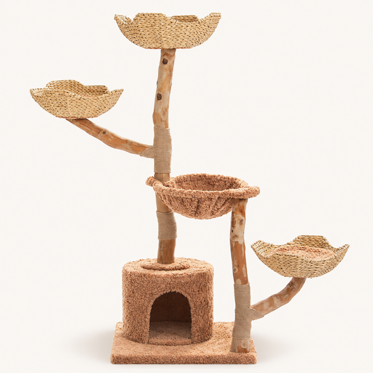 Arbre à chat Tonnelle sur fond clair : trois paniers tressés, hamac en peluche et niche marron